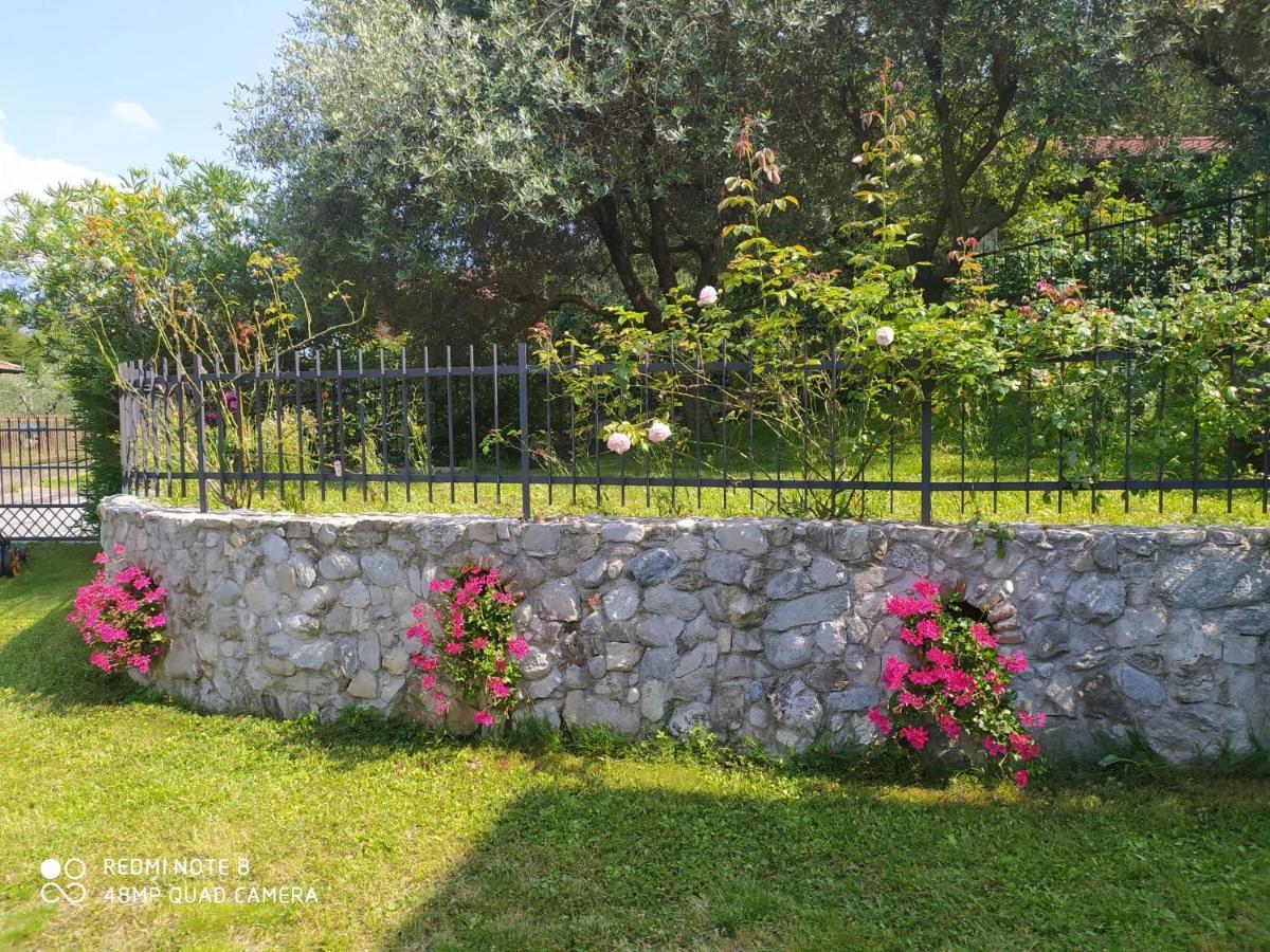 Mary Rose Apartments Oliveto Lario Экстерьер фото