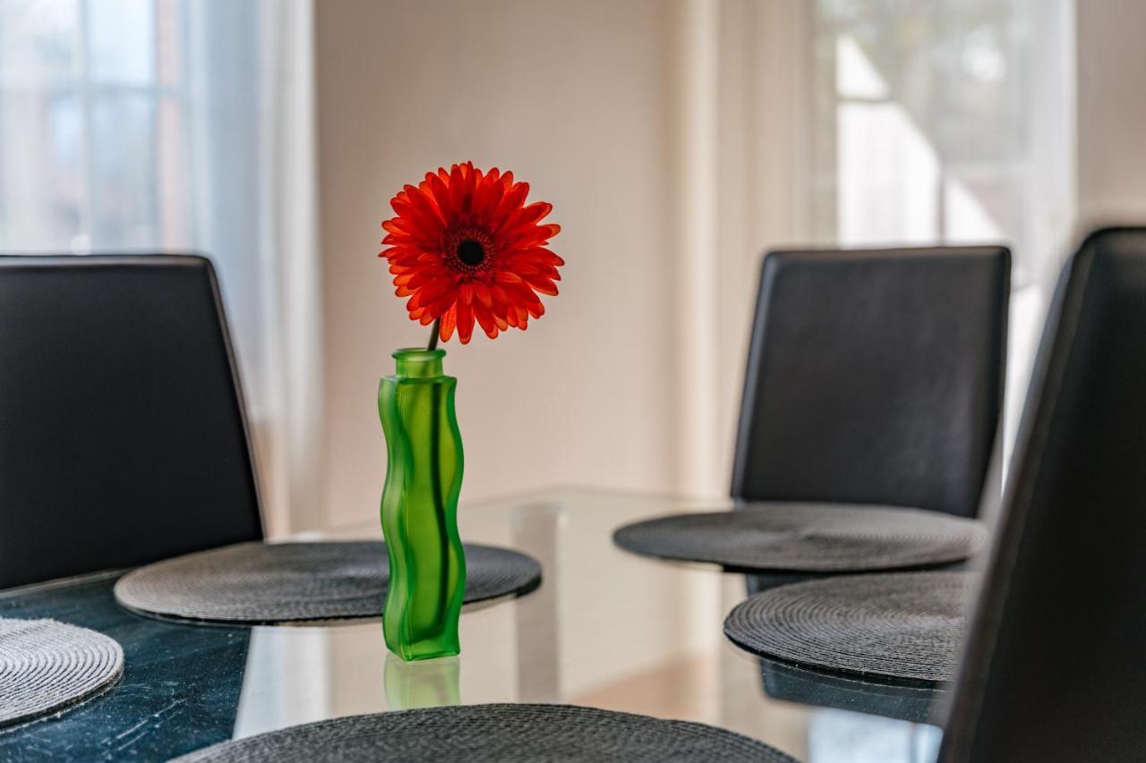 Mary Rose Apartments Oliveto Lario Экстерьер фото