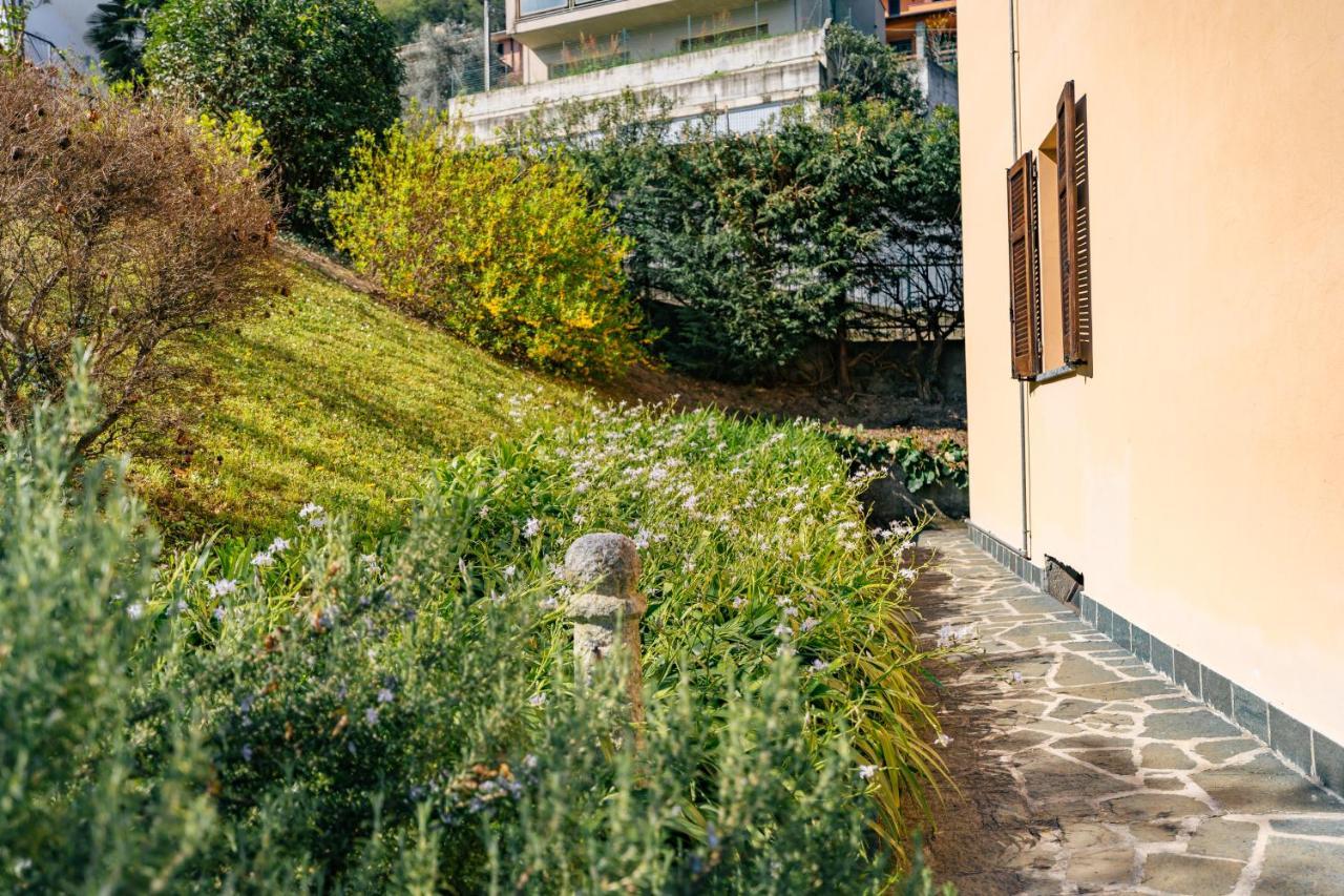Mary Rose Apartments Oliveto Lario Экстерьер фото